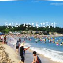 백도오토캠핑장 이미지