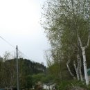 물안개피는호숫가펜션 이미지