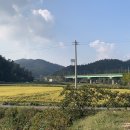 카페베리 앞 도로 이미지