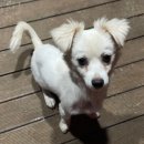 준독트레이닝센터 이미지