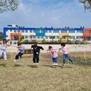 조림초등학교 이미지