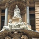 로얄피시 이미지