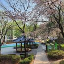 건강체조(금) 이미지