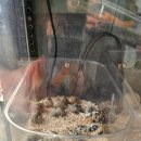 고려농장 | 기대 없이 갔다가 만족했던 파주 나눔농장, 아이 동물체험 후기