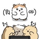 심가네칼국수강남역 이미지
