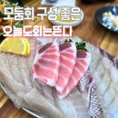 구로-구로-구로-105 | 개봉역 횟집 오늘도회는뜬다｜구로 회 맛집 모둠회 소 솔직 후기