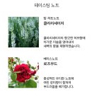 아로브 이미지