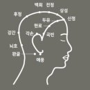 두피 혈자리 위치, 효능, 마사지, 좋은점, 주의해야할 점 이미지