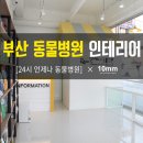 부산동물병원 이미지