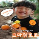 대구 아이와 가볼만한곳 실내 체험놀이터 고마워토토 오렌지&amp;레몬 배터리 후기