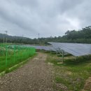 호연태양광발전소 이미지