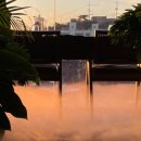 밀림식당 이미지