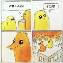 쿄쿄 이미지