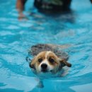 8월펜션 이미지