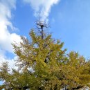 전주향교 이미지