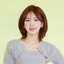 오마이갓개미
