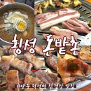 횡성돈밭촌생고기 | 양주 덕정역 삼겹살 맛집 횡성 돈밭촌 가브리살 항정살 추천