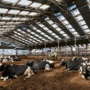 원형목장 이미지