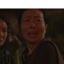 해동건강원 - 영광군 연우로 26-1 | 해동건강원