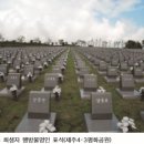 사람들이 잘모르는 한국 현대사의 비극 이미지