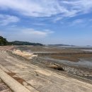 바다갯벌펜션민박 이미지