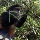 (주)황금바다 이미지