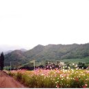 가곡삼거리 이미지