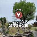 산록남로 | 국내 제주, 생각하는정원 입장료 할인 후기 / 부모님 모시고 가기 좋은 분재 정원