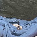 라모스리조트 | 태안 - 애견동반 가로림만 라모스 야영장, 캠핑장, 사이트, 후기