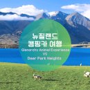 디어팜 (Deer Farm) | 🦌[뉴질랜드 캠핑카 여행] 퀸즈타운 근교 추천 : Deer Park Heights &#34;vs&#34; Glenorchy Animal Experience...