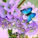 금원 이미지