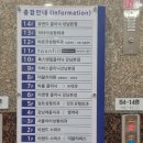 대동빌딩, 아르떼 서울 | [리버스클리닉 강남] 여성 브라질리언 레이저제모 6회차 후 효과는? 가격 주기까지 후기