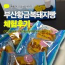 황금복돼지 | 부산 기념품 추천, 부산 여행 선물로 딱! 황금복돼지빵 솔직 후기 🐷💛