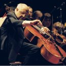 첼로 (B) 이미지