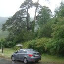 무릉도원면-27 이미지