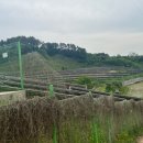 안전 태양광발전소 이미지