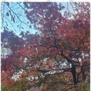 꽃피는산골민박 이미지