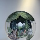 아이빛나어린이치과의원 이미지