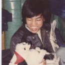 빠박이 애견미용 이미지