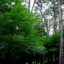 반월루 | 백제의 길을 따라 걷는 부소산성 & 낙화암