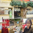 ㈜그린포레에너지 | 카톡 선물하기 추천 비건 화장품 랑데자뷰 뷰티 선크림&amp;핸드크림