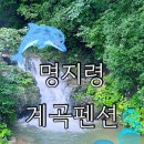 명지령로길 | [명지령 계곡펜션] 은하수 맛집 강원도 화천 펜션 추천🙌
