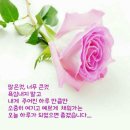 행복한아침 이미지