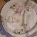 별사랑동물병원 이미지