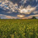 세도 금강변 이미지