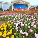 버드벨리 | 에버랜드 워킹사파리 후기 평일 대기시간 꿀팁 총정리