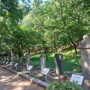 자인계정숲 이미지