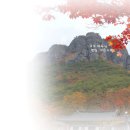 주왕산의 가을/대전사 주변의 단풍나무 이미지