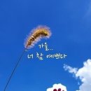 너참예쁘다 이미지