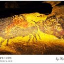 라스코동굴벽화 광명 동굴전 | [적묘의 광명시]프랑스 라스코 동굴벽화 국제순회 광명동굴전,Lascaux Cave